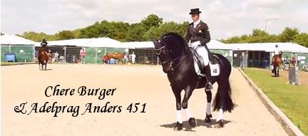 Ebony Park Stud - Friesian Dressage Stallions